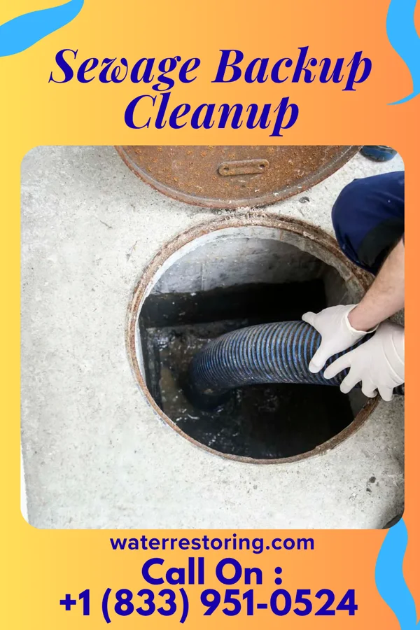 Sewage Backup Cleanup in Shawano, WI