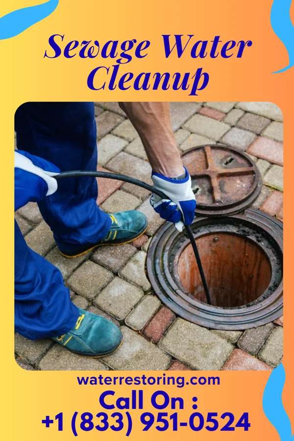 Sewage Water Cleanup in Shawano, WI