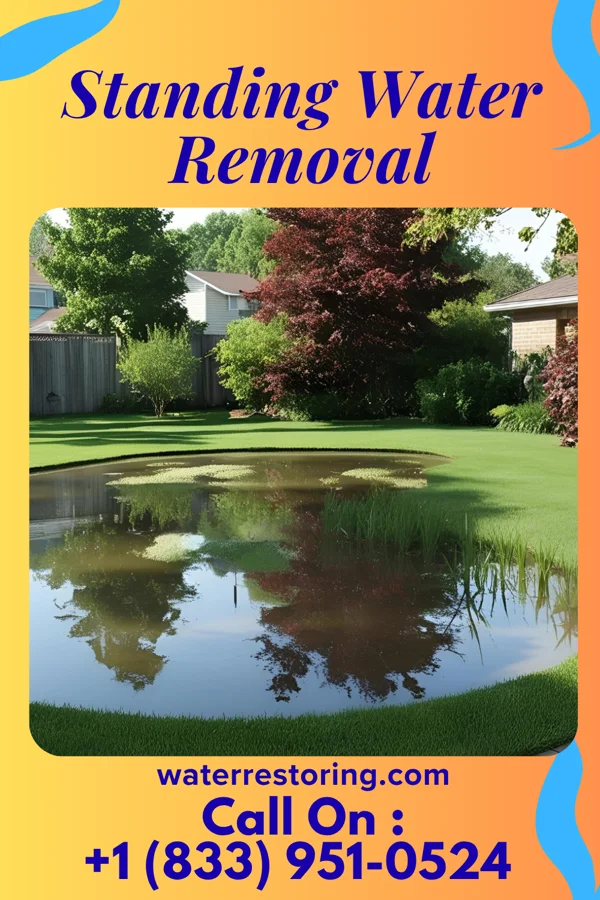 Standing Water Removal in Shawano, WI